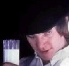 Avatar du membre