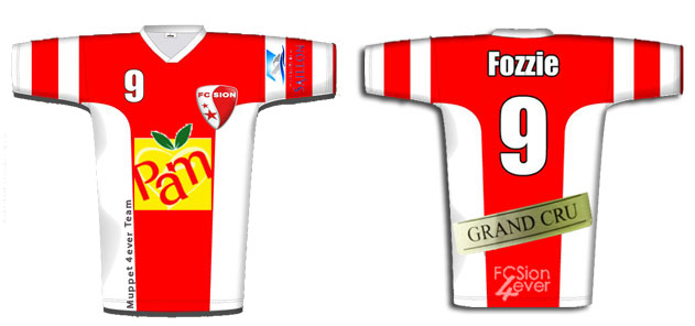 maillot2012.jpg